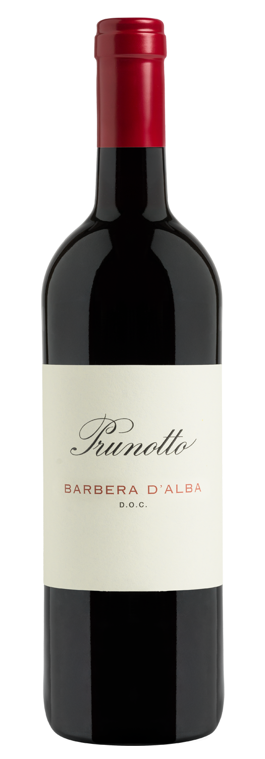 Barbera d'Alba 2019